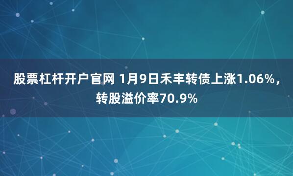 股票杠杆开户官网 1月9日禾丰转债上涨1.06%，转股溢价率70.9%